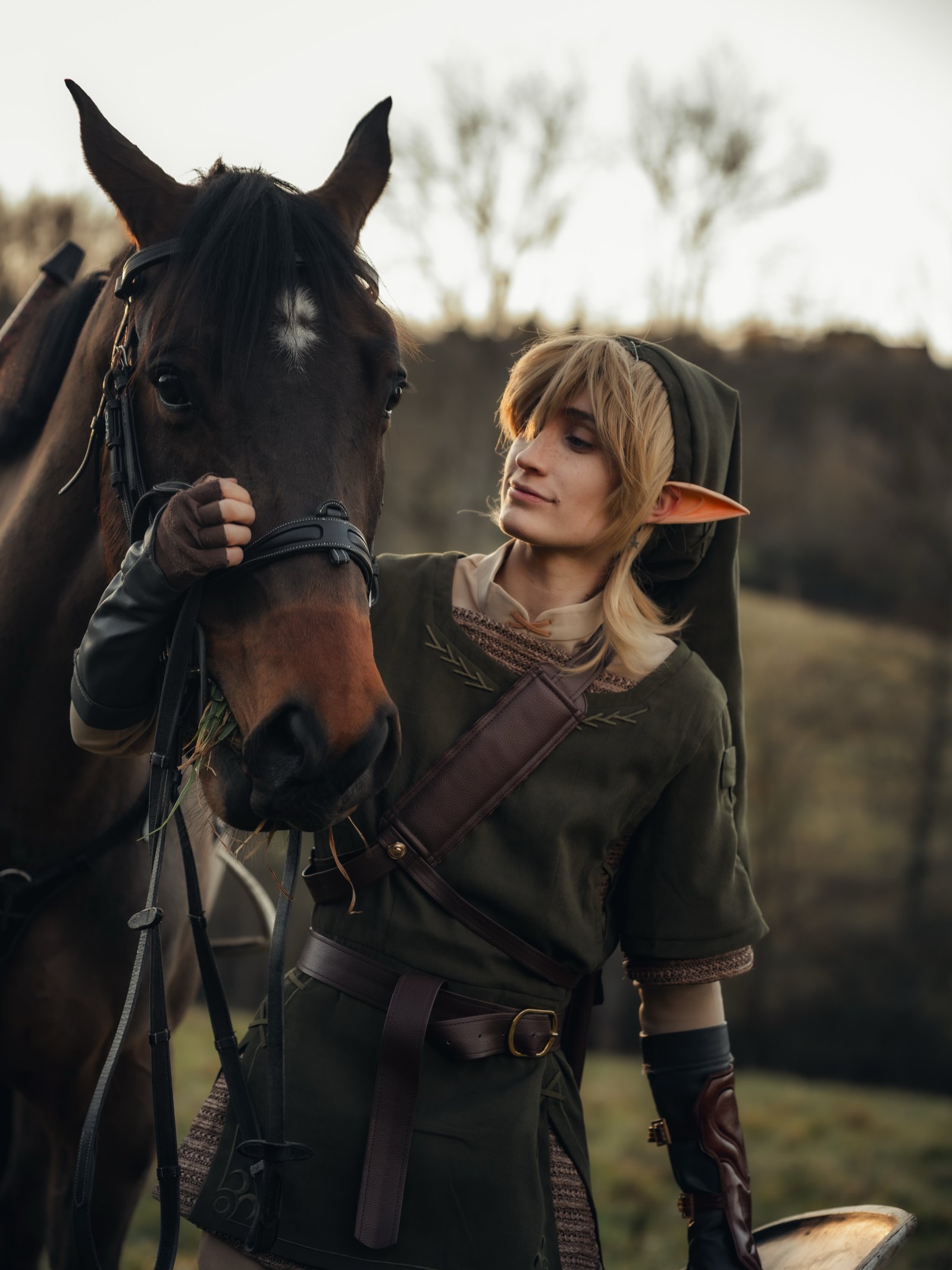 the-legend-of-zelda-link-botw-totk-classic-eras cosplay contribution