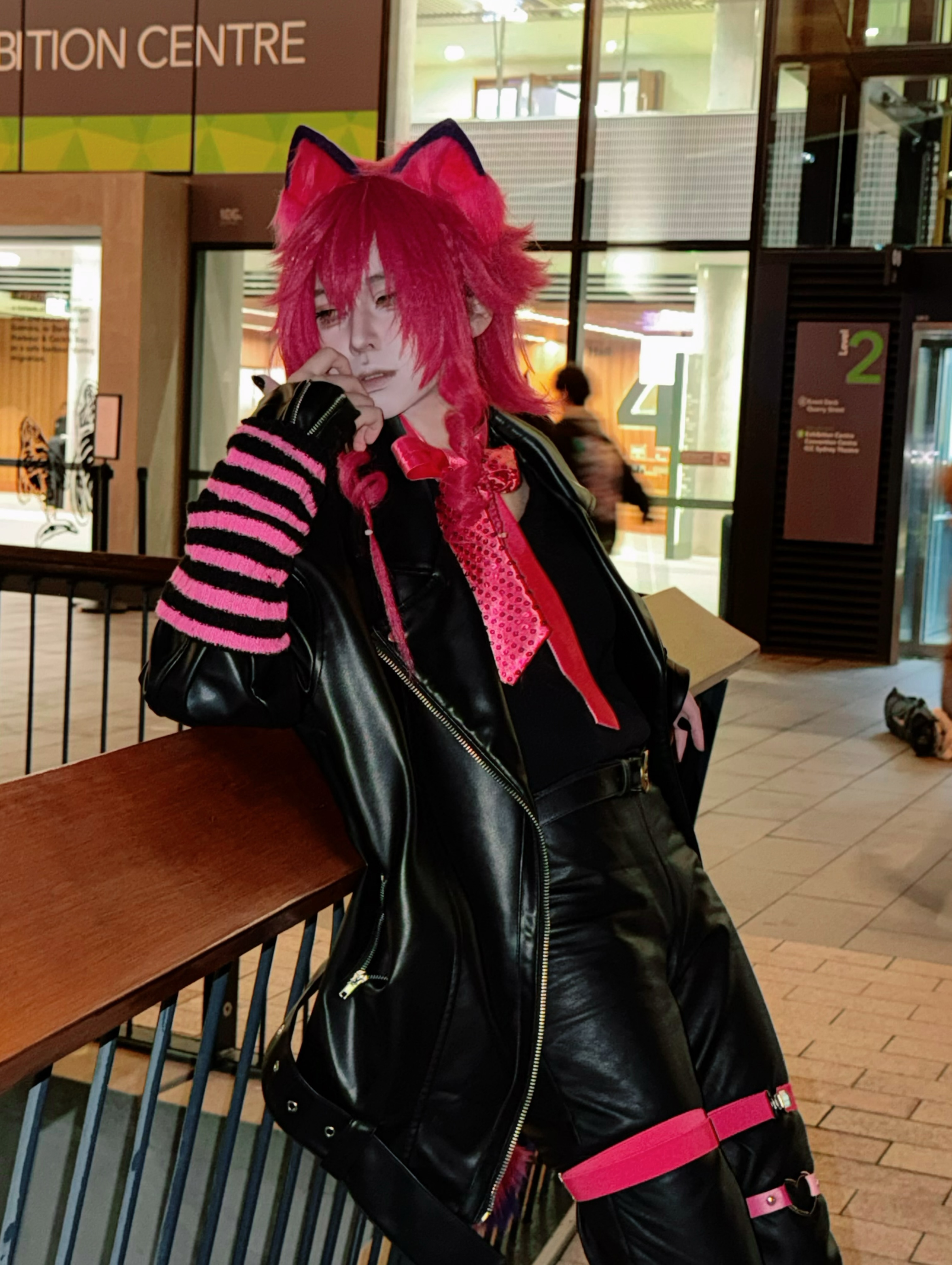 alice-in-wonderland-cheshire-cat-gijinka cosplay contribution